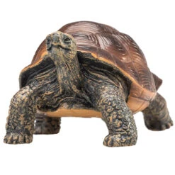 Besttoy - Riesenschildkröte - Spielfigur -Spielzeugladen 239255 5031923872592 moj besttoy riesenschildkrte 05