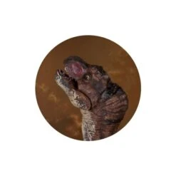 Dinowelt 3er Spielset - 24219 7 Dinowelt 3er Spielset - 24219 -Spielzeugladen 4016096251024 dinosaurier b 24219 b 25102 01