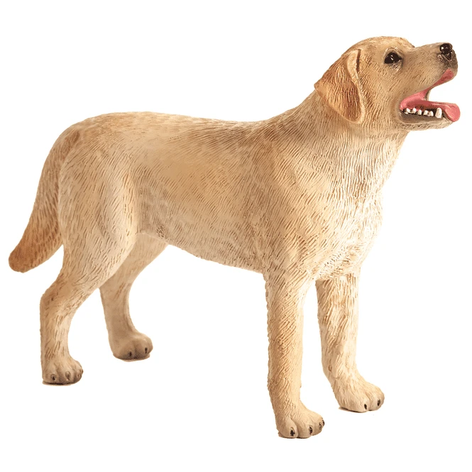 Besttoy Farmland - Labrador Stehend - Spielfigur 387271 1 Besttoy Farmland - Labrador Stehend - Spielfigur 387271